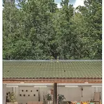 Organic Otel