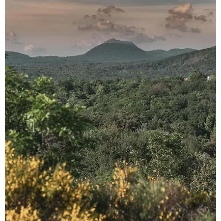 Organic Szálloda
