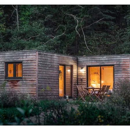 Hotel Organic