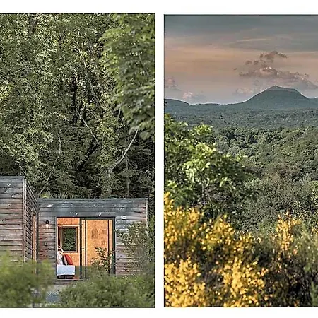 Hotel Organic