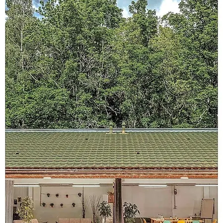 Organic