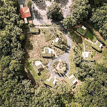 Hotel Organic